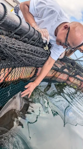 🦈
現場スタッフから届いた、ある日のツアーの様子🦈
楽しんでいただけたようで何より😊
ここだけでしか味わえない、生き物たちとの距離感🐟
ツアーに参加したからこそ撮れる、特別な一枚📷
夏休みの思い出作りにいかがでしょう😊

OSCホームページには各ツアーの体験記も載ってますので、ご予約のご参考に✨

ーーーーーーーーーーーーーーーーーーーーーーーーーーー
沖縄の海の魅力を体感することができるプログラムを実施しています！！🐟🐠✨
ご予約はプロフィールのリンクからどうぞ✨

■やんばる定置網体験
■やんばるタッチプール&飼育体験
■マンタシュノーケル
■マンタやサメの飼育観察体験ツアー
ーーーーーーーーーーーーーーーーーーーーーーーーーーー
#沖縄 #沖縄観光 #体験プログラム #マリンアクティビティ #マンタやサメの飼育観察体験ツアー#osc株式会社 #おきなわさかなカンパニー#Okinawa #trip #Activity #sea #Okinawasakanacompany